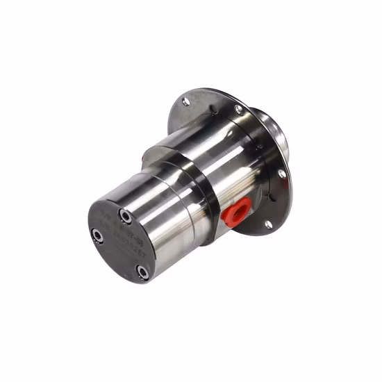 Pompa a ingranaggi a trascinamento magnetico Pompa a ingranaggi a trascinamento magnetico